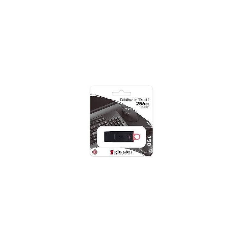 PEN DRIVE 256 GB KINGSTON